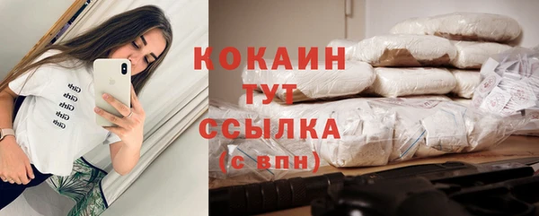 сатива Армянск