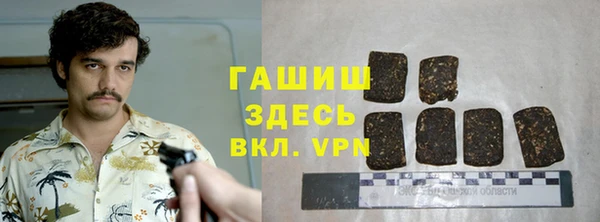 сатива Армянск